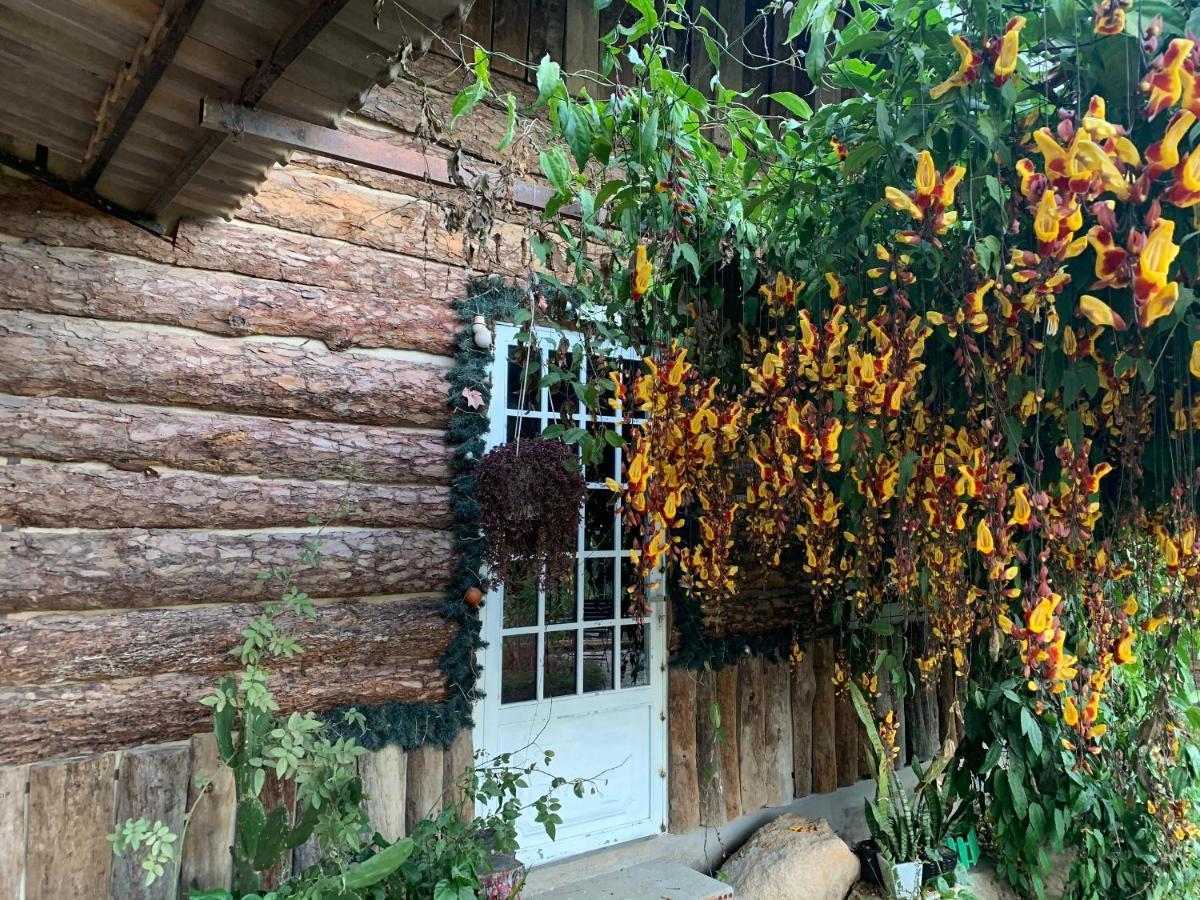 Hoa Son Village Dalat Bagian luar foto